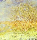Monet Vetheuil in the Summer