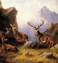 Muller Moritz Deer In A Mountainous Landscape