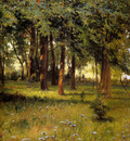 Myasoyedov Grigory Park Sun
