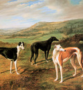 Norton Benjamin Three greyhounds Sun