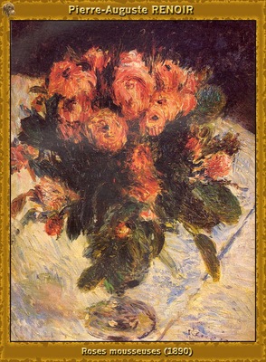 po par 217 roses mousseuses