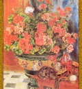 po par 156 geraniums et chats