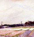 raphael hyacinth field, belgium c1914
