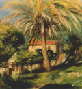 renoir the palm tree