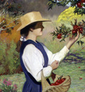 Mountain Orchard