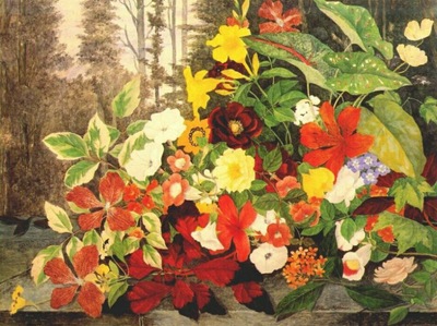 robbins flowers in a wood c1875