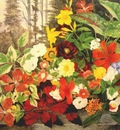 robbins flowers in a wood c1875