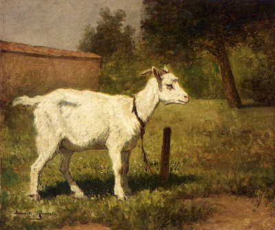 Ronner Knip Henriette A Goat In A Meadow