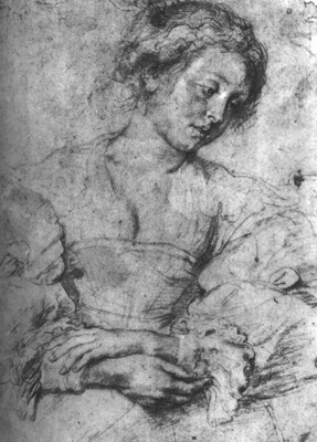 Rubens Portrait of a Young Woman Chalk