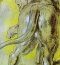 Peter Paul Rubens Lioness