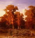 Schaeffer August Sunset In A Hungarian Forest