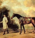 George Stubbs Horse and Rider, De