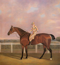 Tomson Clifton Memnon a Chestnut Racehorse With Jockey Up