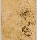 Grotesque Head Man in Profile to Right