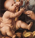 Leonardo da Vinci The Madonna of the Carnation detail2