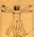 proportions of the human figure, leonardo da vinci, 1485