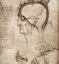 Studio del sistema visivo