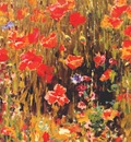 vonnoh poppies