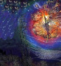 jlm josephine wall