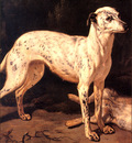 bs ahp Jean Baptist Weenix Dog Standing By A Dead Hare[detail]