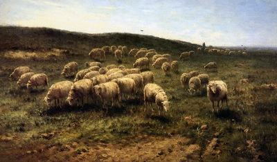 Westerbeek Cornelis Herdsman with sheep Sun