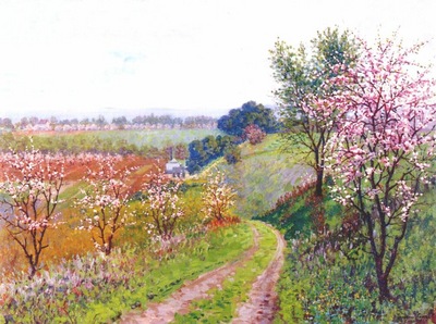 wores road with blossoming trees