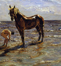 Serov Valentin Bathing a horse Sun