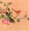 pic07981