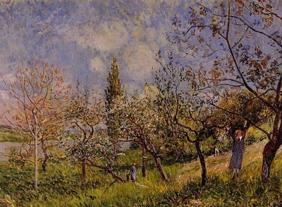 Orchard in Spring   By