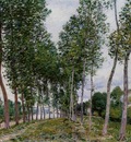 Lane of Poplars on the Banks of the Loing