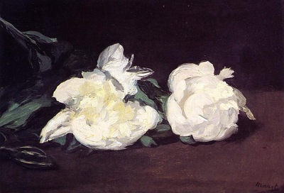branch of white peonies with pruning shears