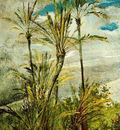 dipinti murali della falconiera