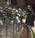 roses garden at petit gennevilliers