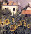 sunflowers garden at petit gennevilliers
