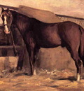 Yerres Reddish Bay Horse in the Stable