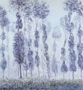 poplars by the eure river