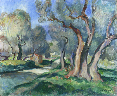 path among the olive trees