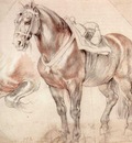 etude of horse 1619