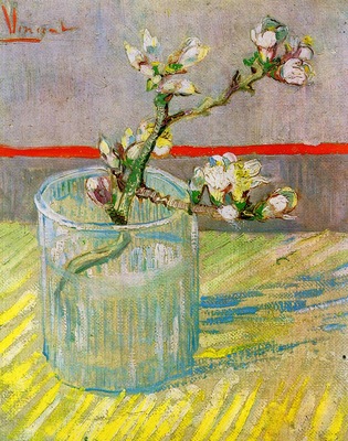 blossoming almond branch in a glass