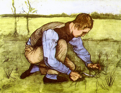 boy cutting grass with a sickle