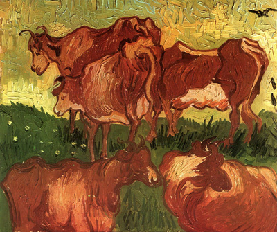 Cows after Jorsaens