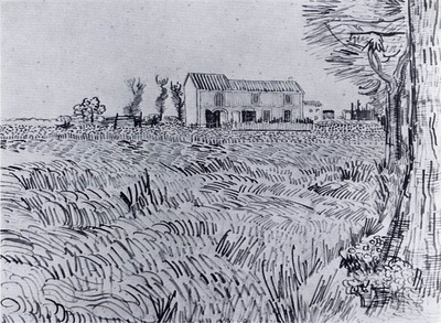 farmhouse in a wheat field