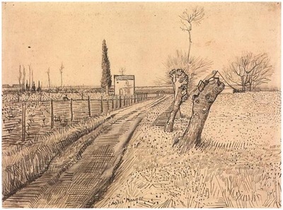 landscape with path and pollard trees