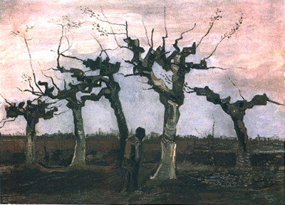 landscape with pollarded willows