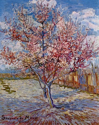 peach tree in bloom in memory of mauve
