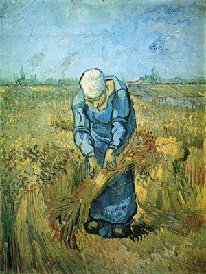 peasant woman binding sheaves after millet