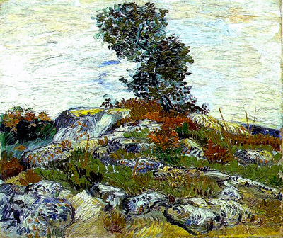 rocks with oak tree