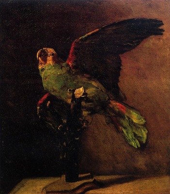 the green parrot