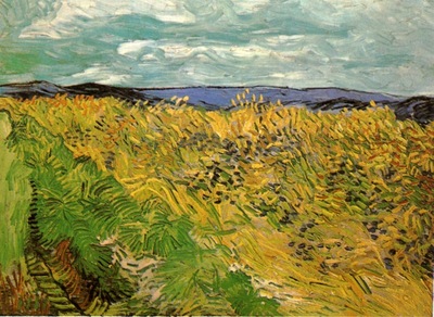 wheat field with cornflowers