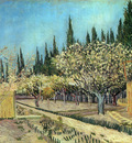 orchard in blossom bordered by cypresses